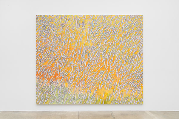 Doug Argue 24Mp 20220914 4294