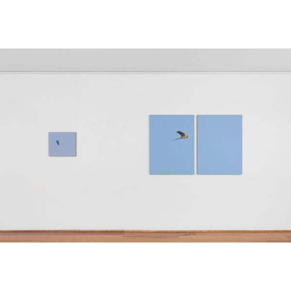 Matthew Kentmann Blue & Gold