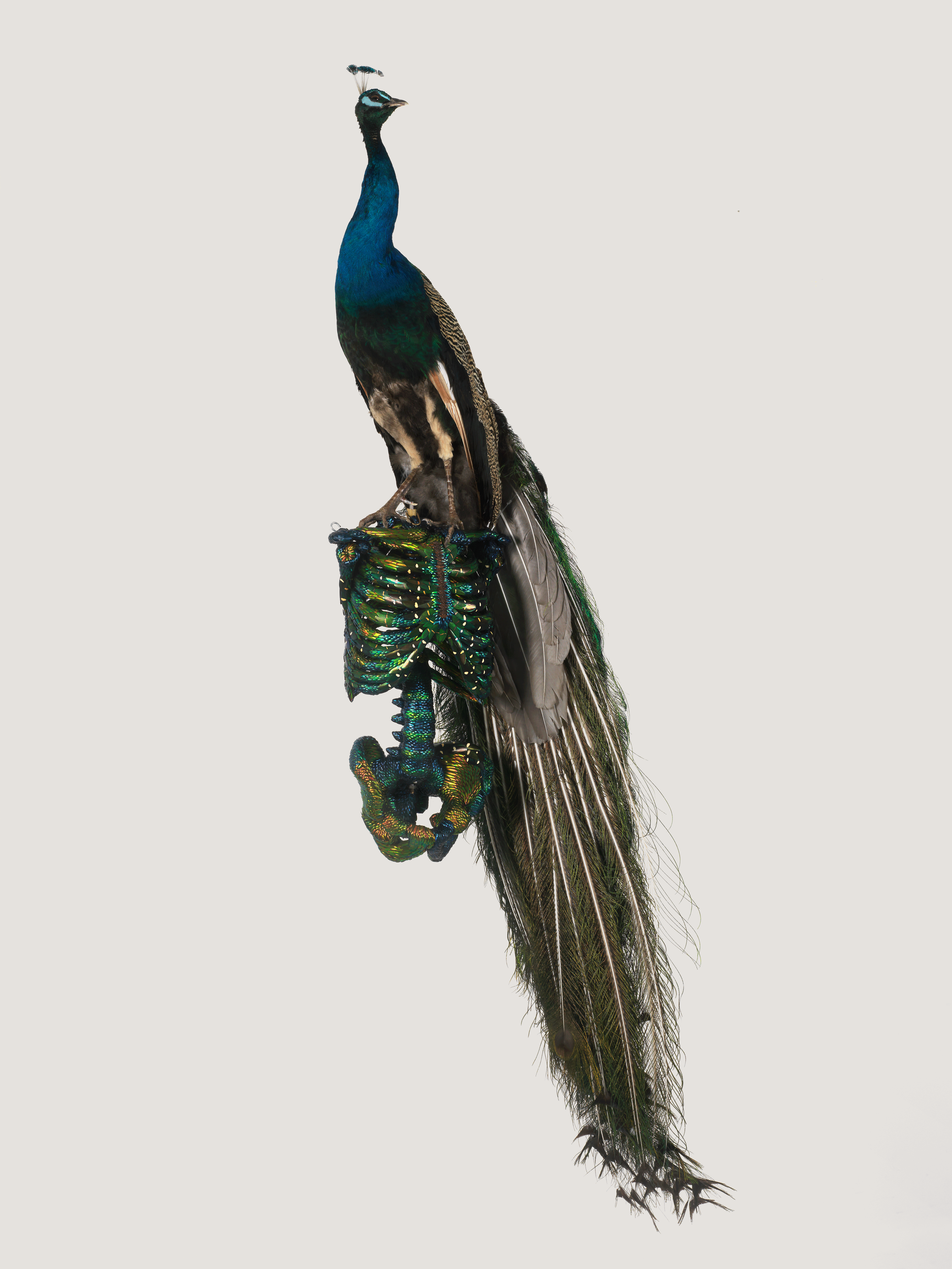 VANITY IS FOUNDED ON MORTALITY, 2013