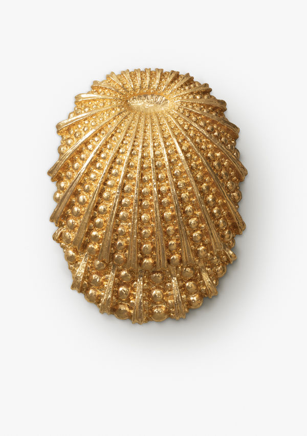 Glory - Glorie Destiny, 2016-2017