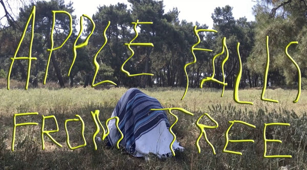 Apple falls from tree, 2016