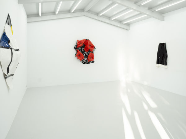 Pilevneli Yalikavak 202306 077