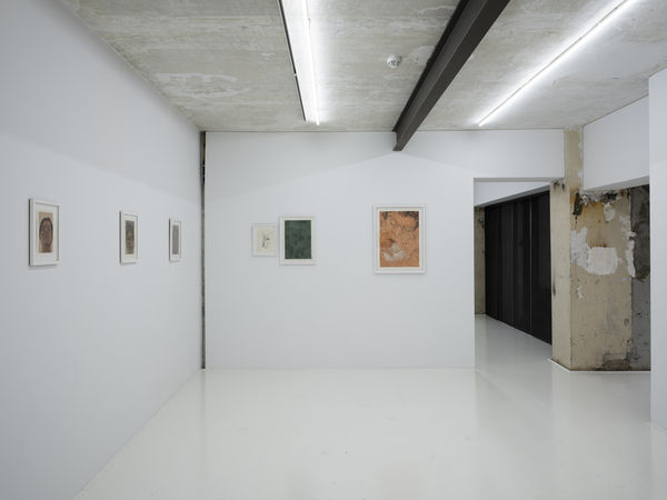 Pilevneli 202312 117