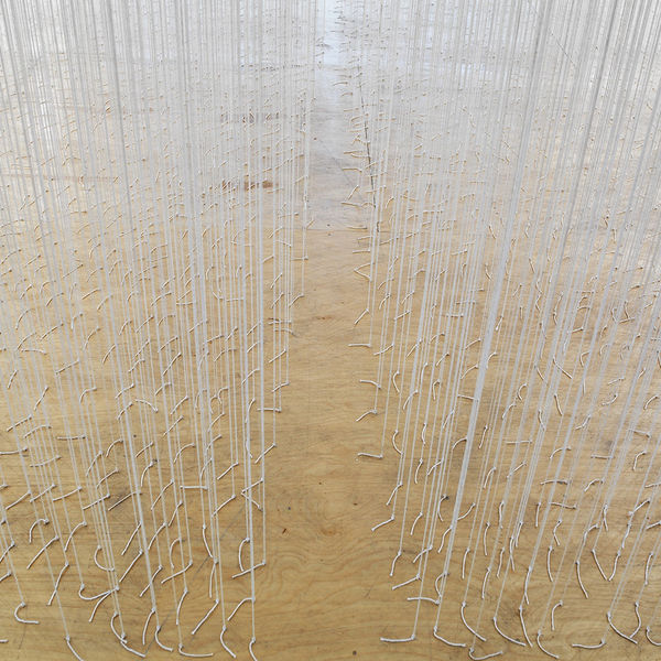 DEFNE TESAL, HESITATION PİLEVNELİ | DOLAPDERE