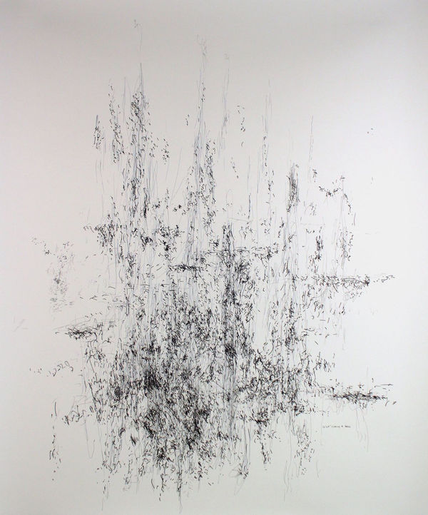 WORKS ON PAPER PİLEVNELİ | DOLAPDERE