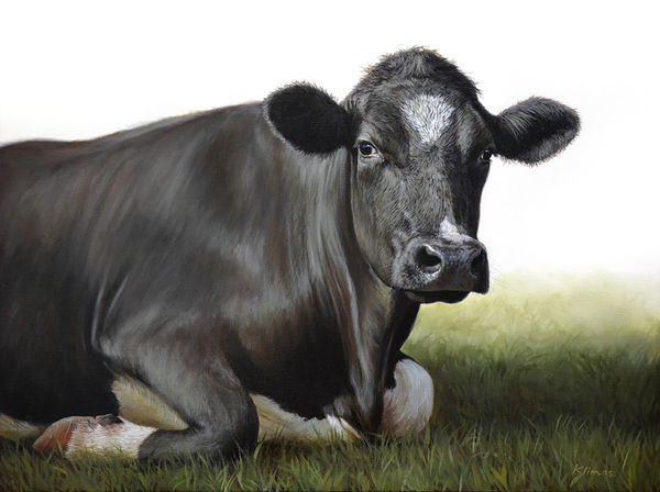 Alexandra Klimas "Hannah the Cow" Oil on canvas 60 x 80 cm