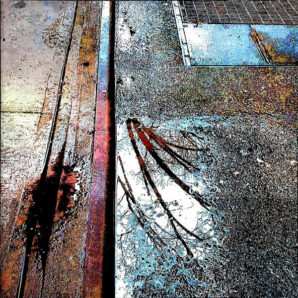 Seescapes: The World At My Feet, James Van Patten's Solo Show