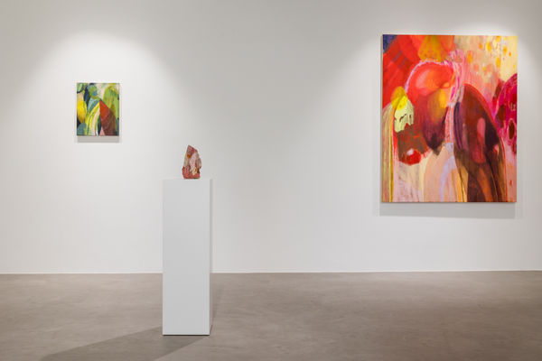 Pulpo Rhiannon Installation 10