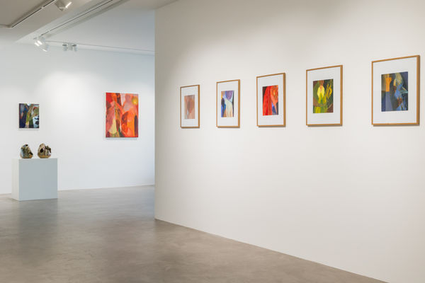 Pulpo Rhiannon Installation 16