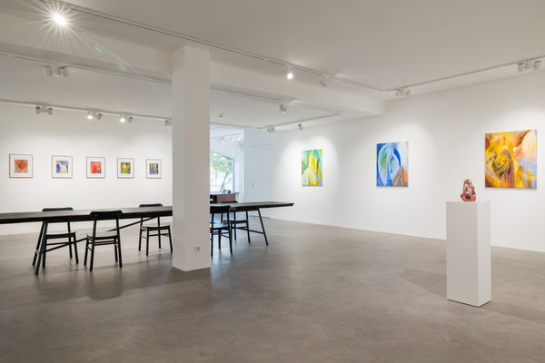 Pulpo Rhiannon Installation 23