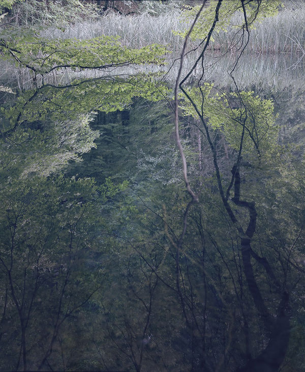 Sandra Kantanen Untitled (Pond 3), 2014