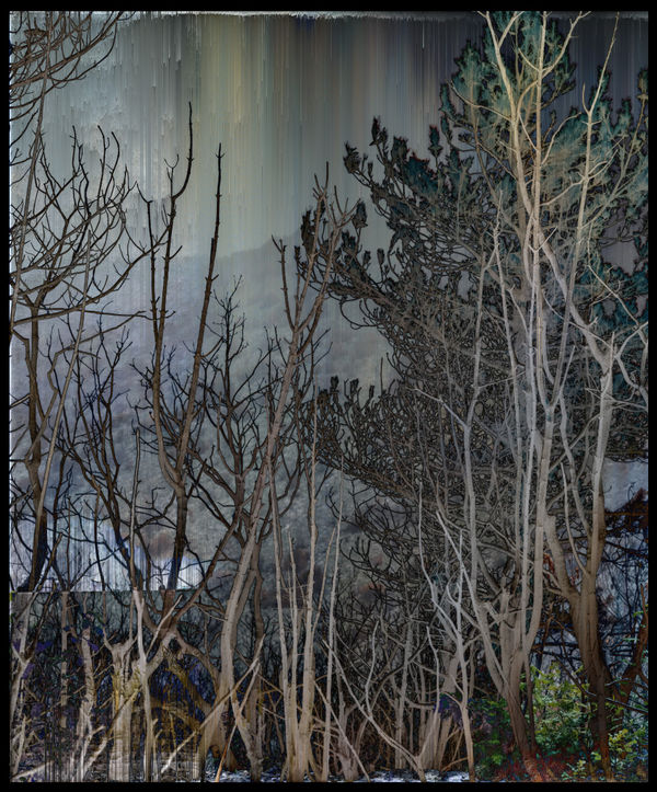 Paris Photo 2023 9 - 12 November Grand Palais Éphémère, 75007 Paris Solo Contemporary Presentation: Sandra Kantanen works can be seen in Viewing Room