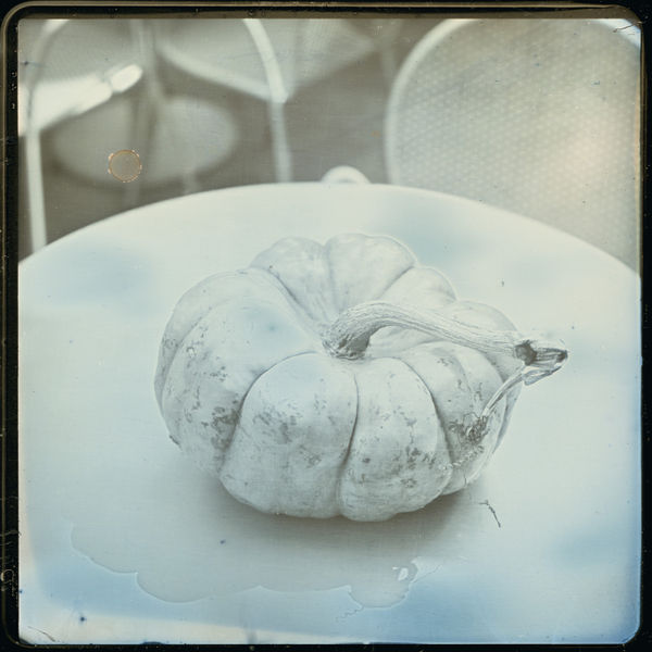 Takashi Arai, Pumpkin, September 27, 2014