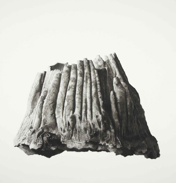 Jonathan Delafield Cook