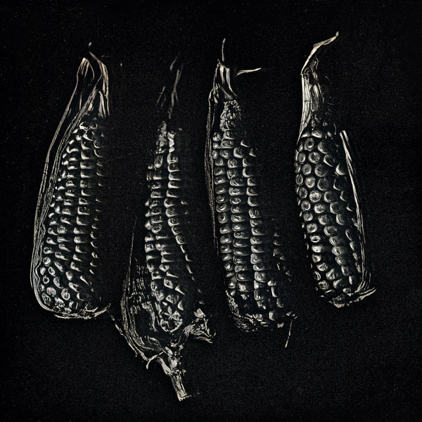 Takashi Arai, Bogota Corn, May 14, 2019