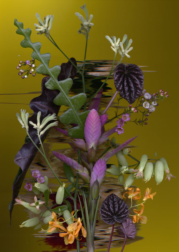 Sandra Kantanen, Distortion 1 , 2016