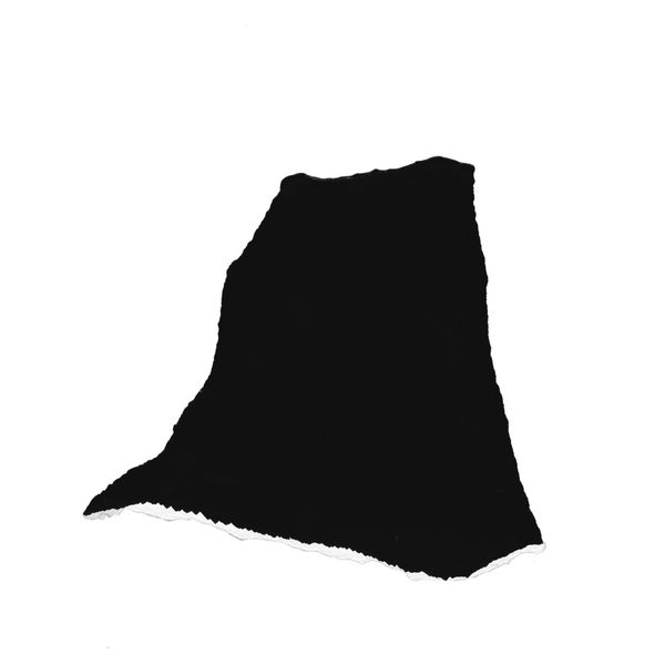 Bettina von Zwehl, The Followers CXXVII , 2017-18