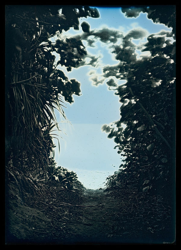 Takashi Arai, Sakieda, Ishigaki, January 13, 2020