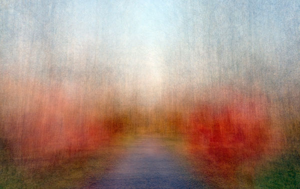 Eeva Karhu, Path (Moments) Autumn 3, 2019