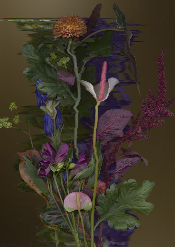 Sandra Kantanen, Distortion 9, 2016