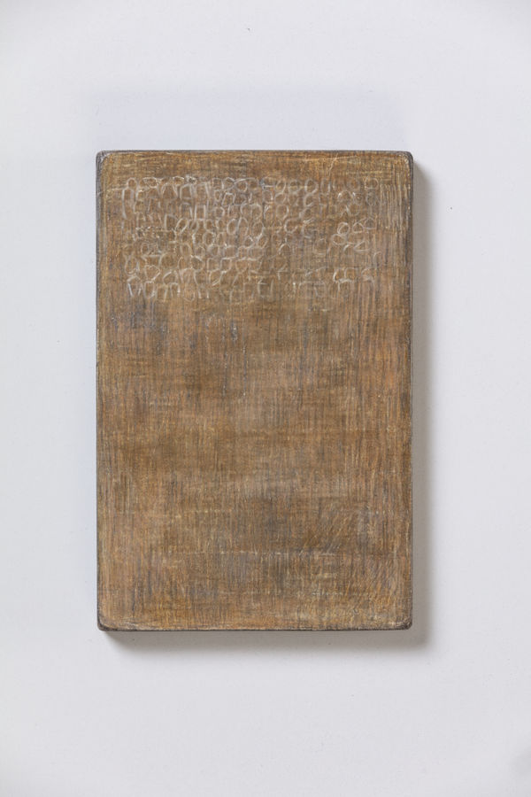 David Quinn, From the series Stookeen, No. 19165, 2021