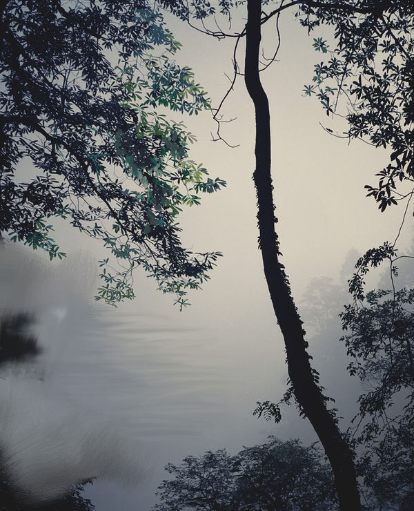 Sandra Kantanen, Mountain 8, 2014