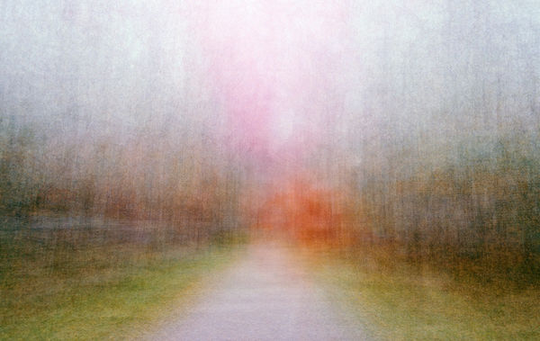 Eeva Karhu, Path (Moments) Autumn 2, 2019