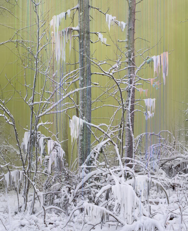 Sandra Kantanen, Forest 7, 2016-17