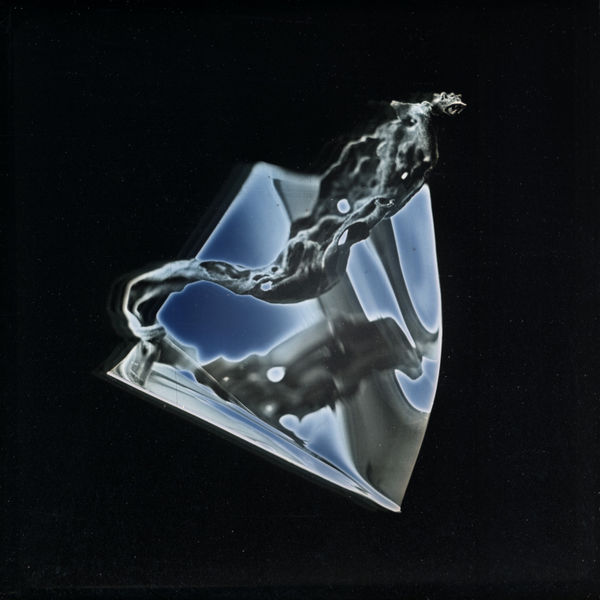 Takashi Arai, Dried Leaf On Warped Mirror, May 1, 2020