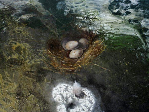 Michael Porter, Vanitas series 23.02.16, 2016