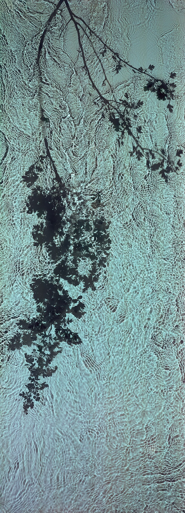 Susan Derges Floating