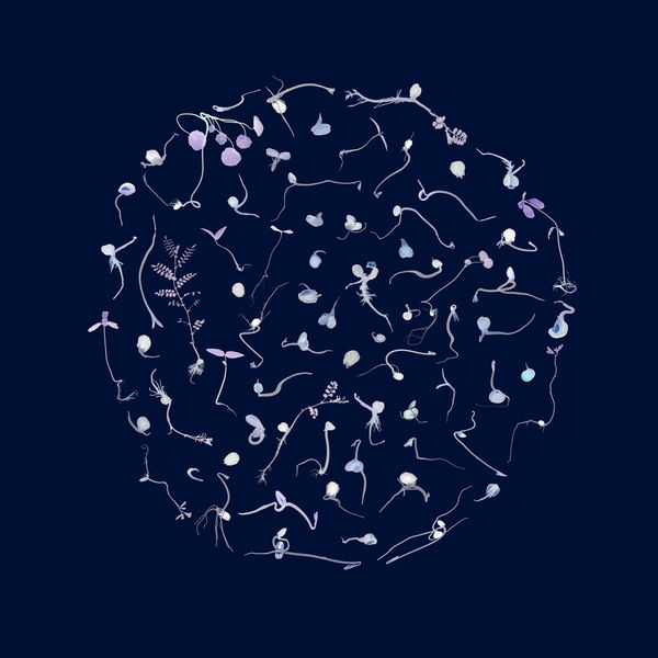 SUSAN DERGES: Artful Craft, MAKE Southwest