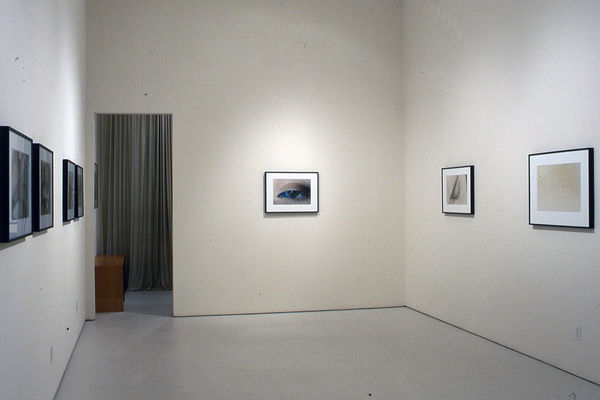 Elinor Carucci | Details