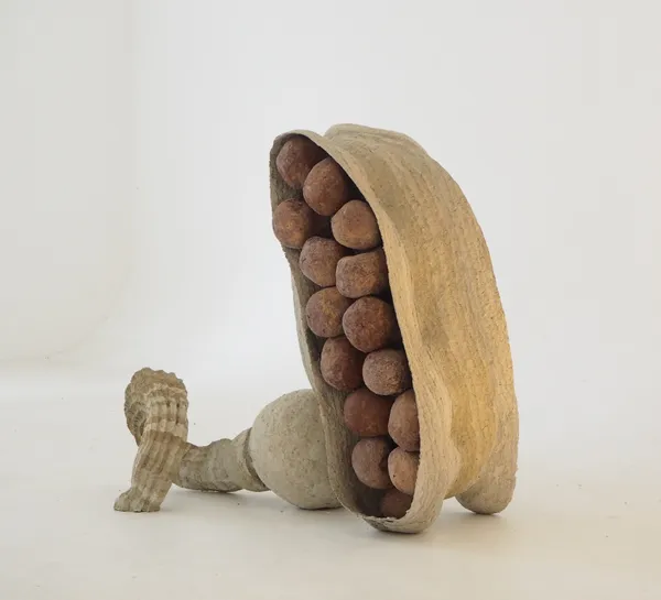 Frits Achten - Polyps