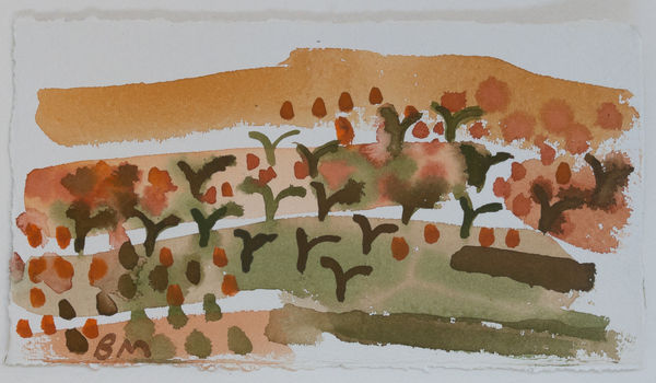 Apricot Trees 1 Watercolour On Khadi Paper 15X29Cm