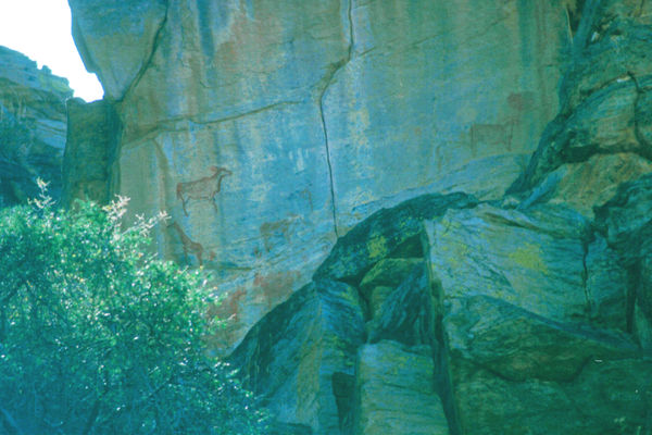 Rock art in the Kalahari