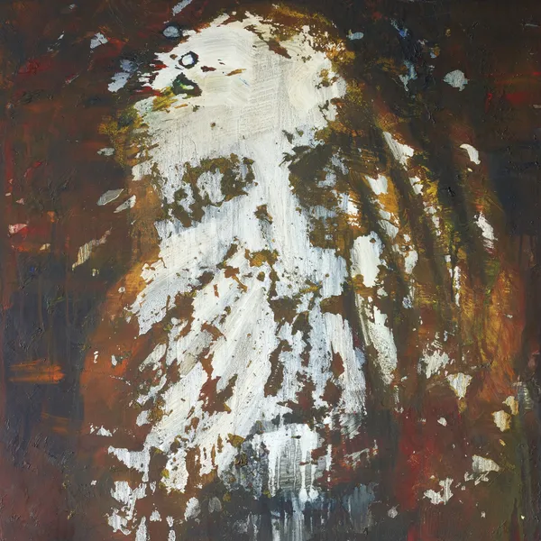 Ida Barbarigo, Beyond the Figure