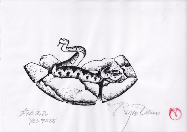 YES RELATED DRAWINGS A series of drawings, pencil or ink on tracing paper.