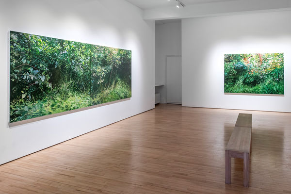 Hannah Brown | The Road to Hollow Pond