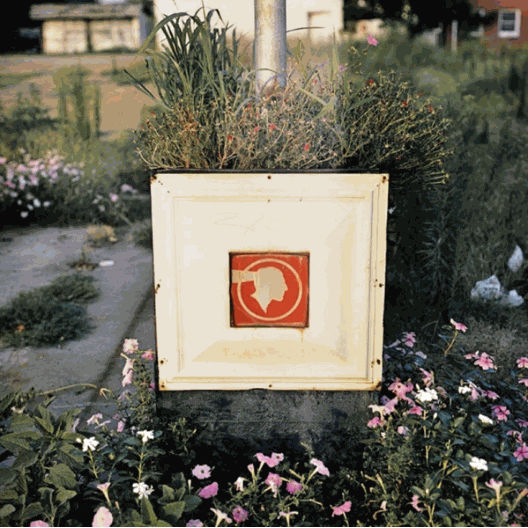 William Eggleston, 2¼