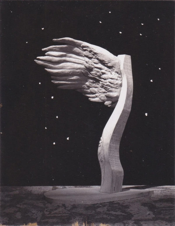 Photo Linens Unique Vintage Black and White Polaroids, 1987-89