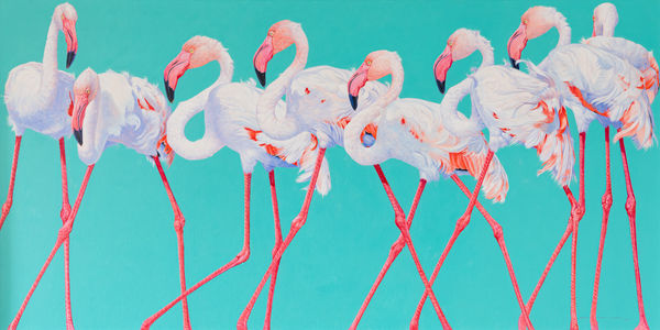 Flamingos Gogo