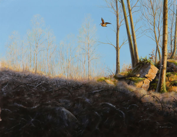 Rodger McPhail, Woodcock