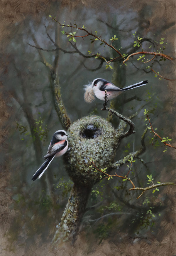 Rodger McPhail, Long-tailed tits
