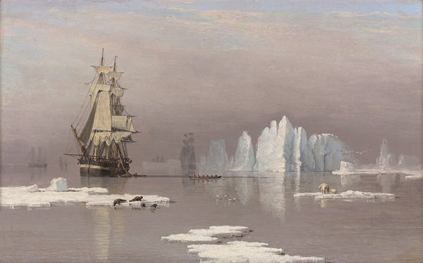 The whaling ships Swan and Isabella in the Arctic, with polar bears and seals