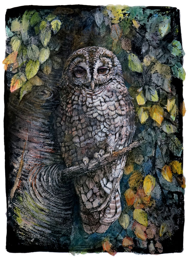 Emma Faull, Tawny Owl