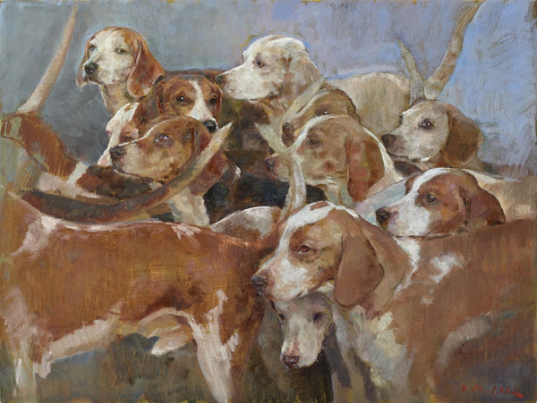 Beagles