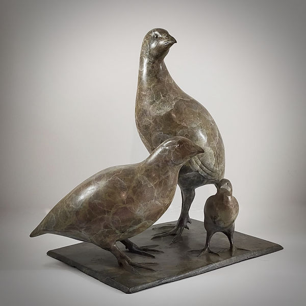 Jonathan Knight , Family of Quail