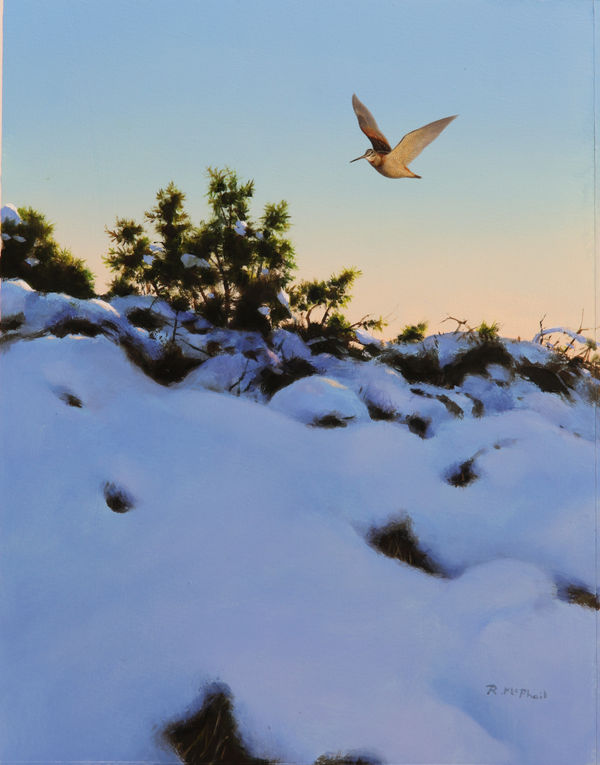 Rodger McPhail, Snowy Woodcock