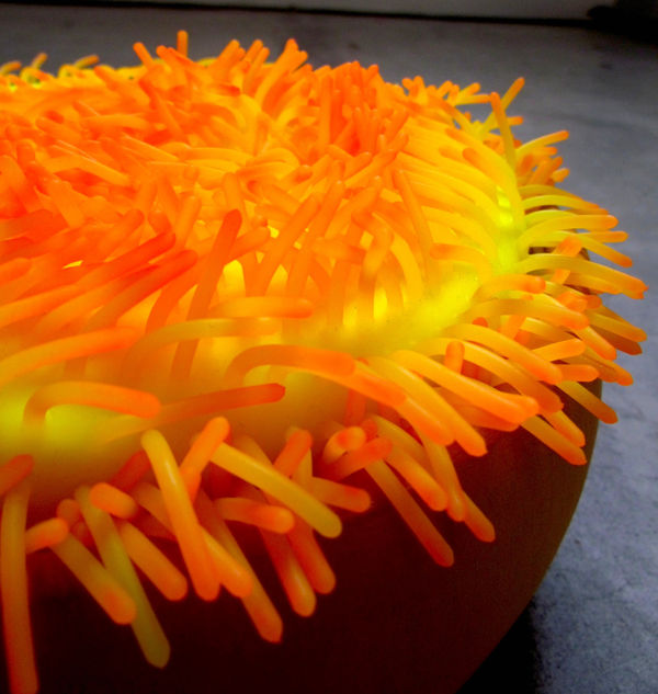 Fiona Beveridge, Pollen Yolk